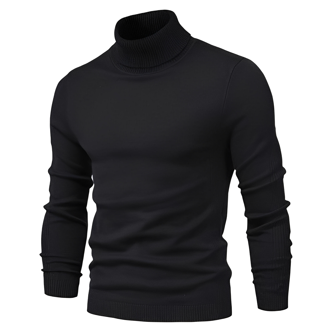 Darvin - Warm sweater with a rolled neck for men