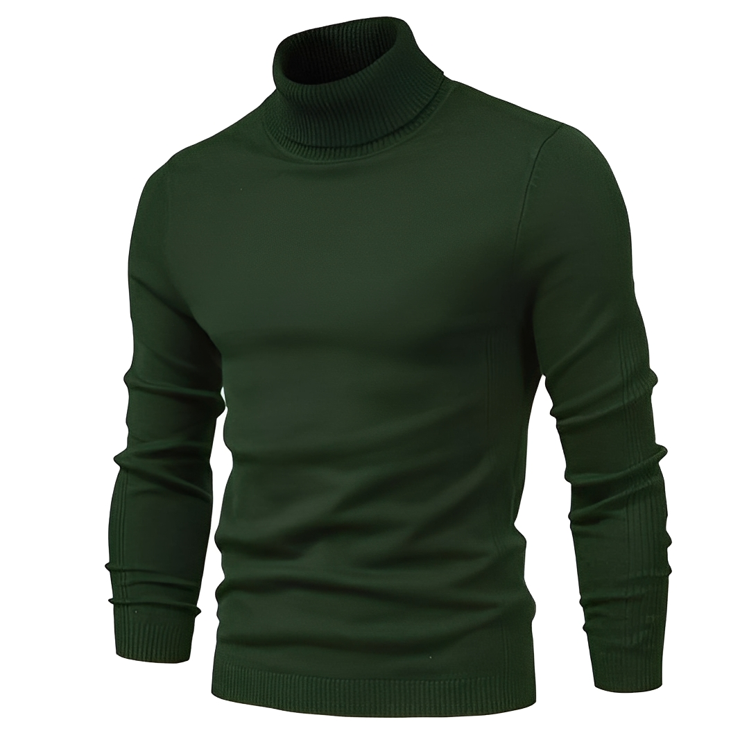 Darvin - Warm sweater with a rolled neck for men