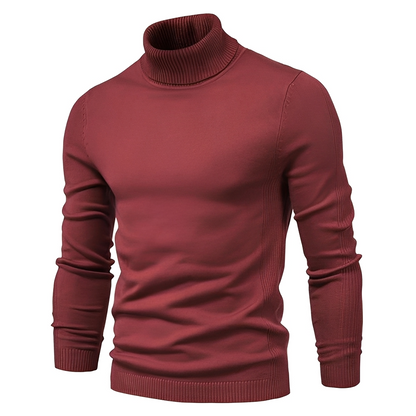 Darvin - Warm sweater with a rolled neck for men