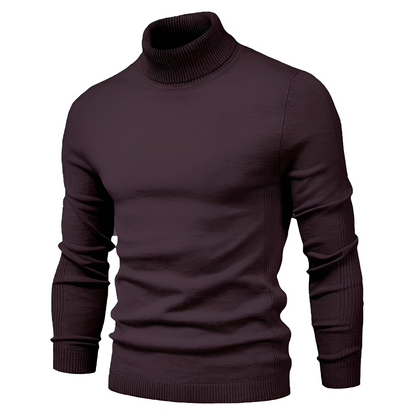 Darvin - Warm sweater with a rolled neck for men