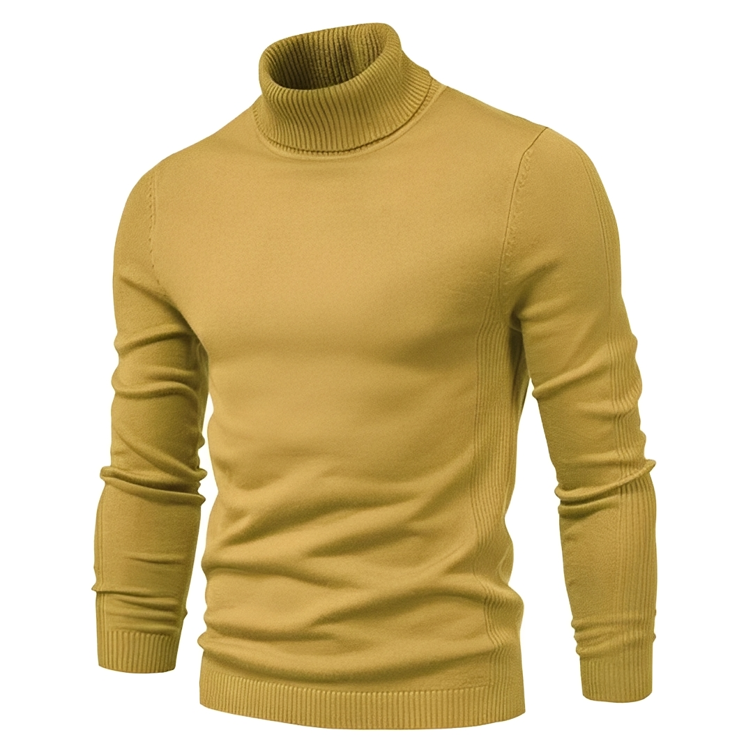 Darvin - Warm sweater with a rolled neck for men