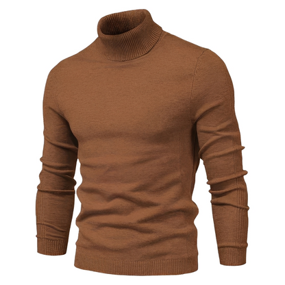 Darvin - Warm sweater with a rolled neck for men