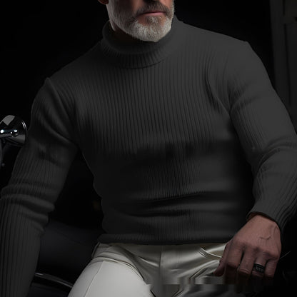 Richard - Comfortable and stylish sweater with a turtleneck for men